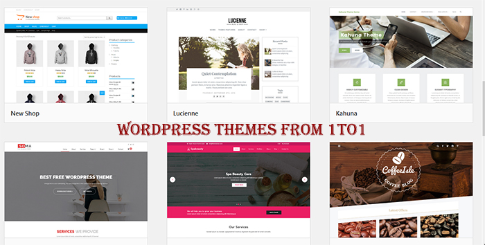 wordpress themes