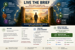 Live The Brief - 1to1