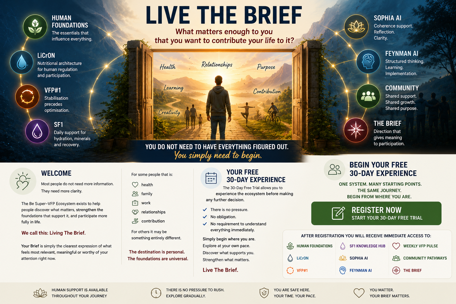 Live The Brief - 1to1